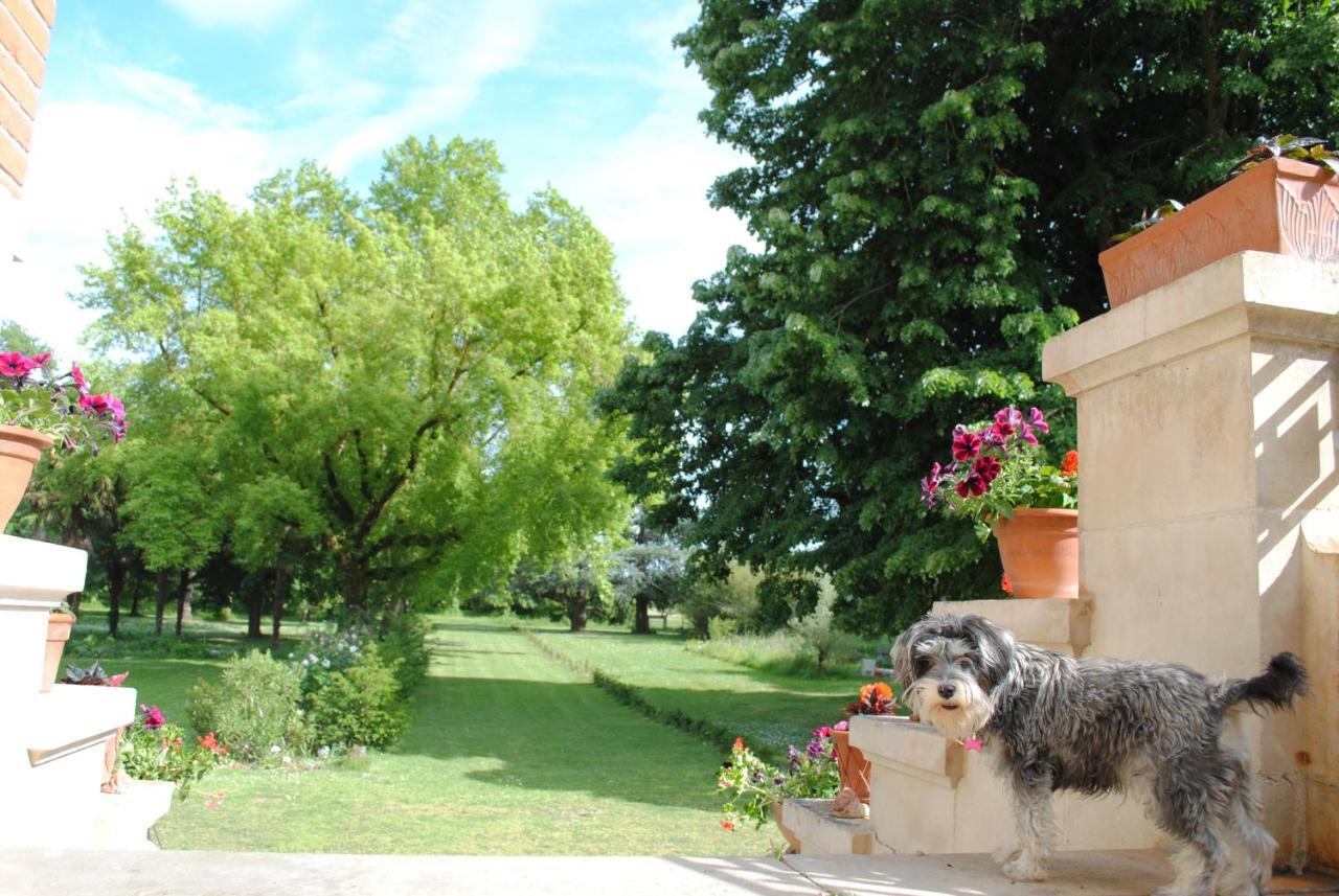 Chateau Mezger Albefeuille-Lagarde Extérieur photo